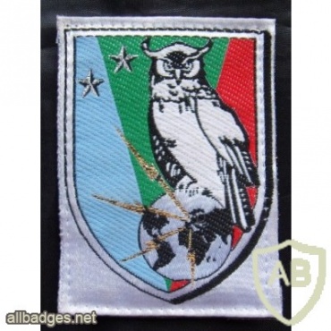 French Intelligence Brigade arm patch img23032