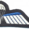 NETHERLANDS Army DT 2000 Parachutist B Brevet (Basic) wings, full color, black