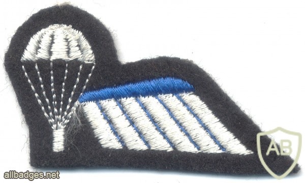 NETHERLANDS Army DT 2000 Parachutist B Brevet (Basic) wings, full color, black img23055
