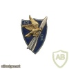 FRANCE 401st Anti-Aircraft Artillery Regiment pocket badge, type 2