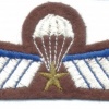 NETHERLANDS Airborne Parachutist A Brevet (Operational) wings, full color, brown