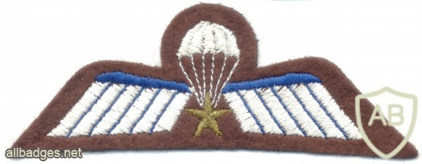 NETHERLANDS Airborne Parachutist A Brevet (Operational) wings, full color, brown img23054