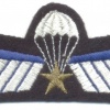 NETHERLANDS Army DT 2000 Parachutist A Brevet (Operational) wings, full color img23056