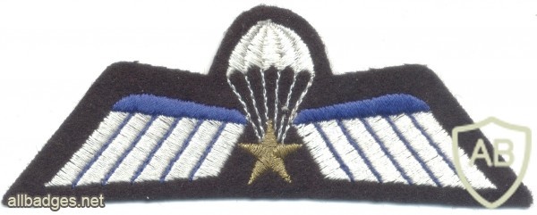 NETHERLANDS Army DT 2000 Parachutist A Brevet (Operational) wings, full color img23056