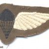 CISKEI Parachute Jump Instructor wings, Combat dress, 1st pattern img23058