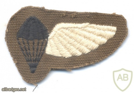 CISKEI Parachute Jump Instructor wings, Combat dress, 1st pattern img23058