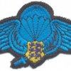 ESTONIA Special Operations Group (SOG) Parachutist wings, cloth
