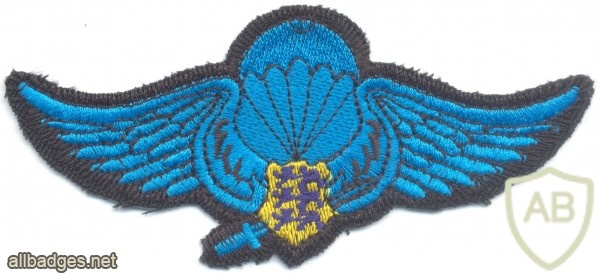 ESTONIA Special Operations Group (SOG) Parachutist wings, cloth img23057