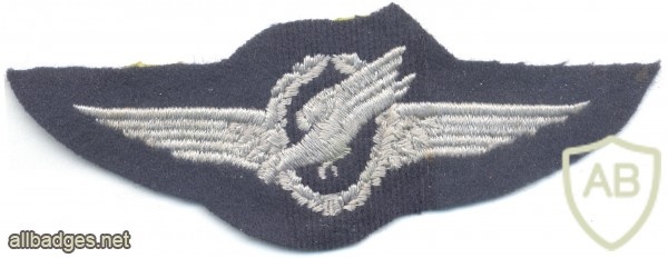 WEST GERMANY Parachute qualification jump wings, Senior, early img23119