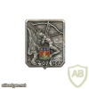 FRANCE 407th Anti-Aircraft Defence Artillery Regiment pocket badge
