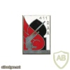 FRANCE 411th Anti-Aircraft Artillery Regiment pocket badge