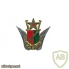 FRANCE 421st Anti-Aircraft Artillery Regiment pocket badge