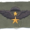 SOUTH VIETNAM Airborne Parachutist qualification wings, Senior, cloth