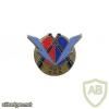 FRANCE 408th Anti-Aircraft Artillery Regiment pocket badge