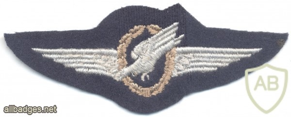 WEST GERMANY Parachute qualification jump wings, Basic, early img23118