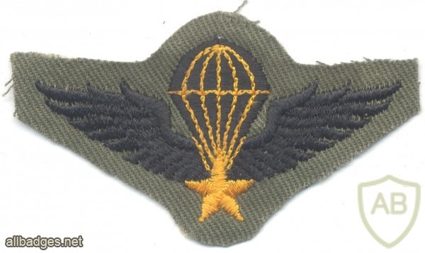 SOUTH VIETNAM Airborne Parachutist qualification wings, Basic, cloth img23112