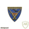 FRANCE 423rd Anti-Aircraft Artillery Regiment pocket badge