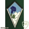 France 27th Mountain Infantry Brigade pocket badge