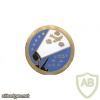 FRANCE 405th Anti-Aircraft Defence Artillery Regiment pocket badge