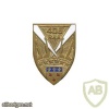 FRANCE 406th Anti-Aircraft Artillery Regiment pocket badge