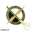 1st Information Operations Command