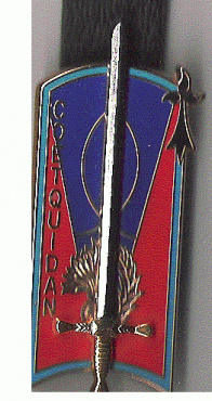 FRANCE Camp Coëtquidan pocket badge img23179