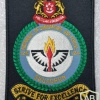 Singapore Air Force 124 Squadron