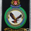 Singapore Air Force 130 Squadron