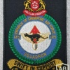 Singapore Air Force 125 Squadron (Puma)