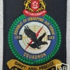 Singapore Air Force 123 Squadron