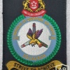 Singapore Air Force 120 Squadron