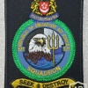Singapore Air Force 121 Squadron (Brahminy Kite)