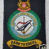Singapore Air Force 144 Squadron (Blackite)
