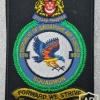 Singapore Air Force 150 Squadron (Falcon)