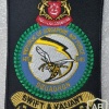 Singapore Air Force 145 Squadron (Hornet)
