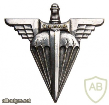 FRANCE School of Airborne Troops Base (BETAP) badge img23310