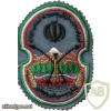 IRAN 21st Infantry Division patch