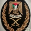 Senior officer cap badge