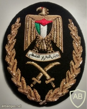 Senior officer cap badge img23348