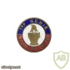 FRANCE 1st Engineer Regiment pocket badge, type 1