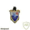 FRANCE 6th Engineer Regiment pocket badge