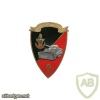 FRANCE 9th Engineer Battalion pocket badge