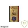 FRANCE 72nd Engineer Regiment pocket badge