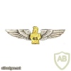 FRANCE 45th Engineer Regiment (Airborne) pocket badge