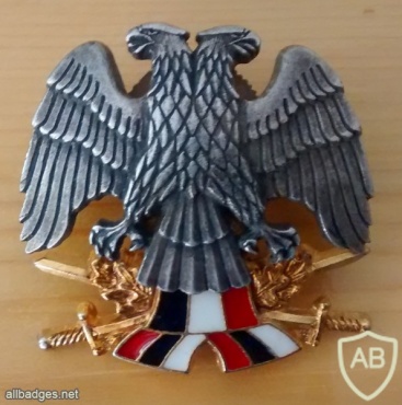 YUGOSLAVIA SERBIA Army officer badge visor cap badge, 1994 img23425