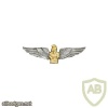 FRANCE 25th Engineer Regiment (Airborne) pocket badge img23429