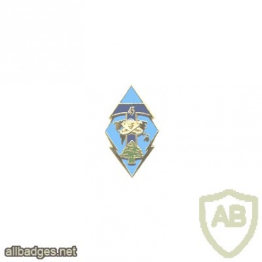 FRANCE Army 43rd Signals Battalion pocket badge img23468