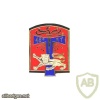 FRANCE Army 48th Signals Regiment pocket badge