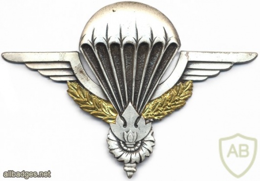 LAOS Airborne Parachute qualification wings, type 2 img23523