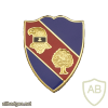 354th Regiment Brigade Combat Team